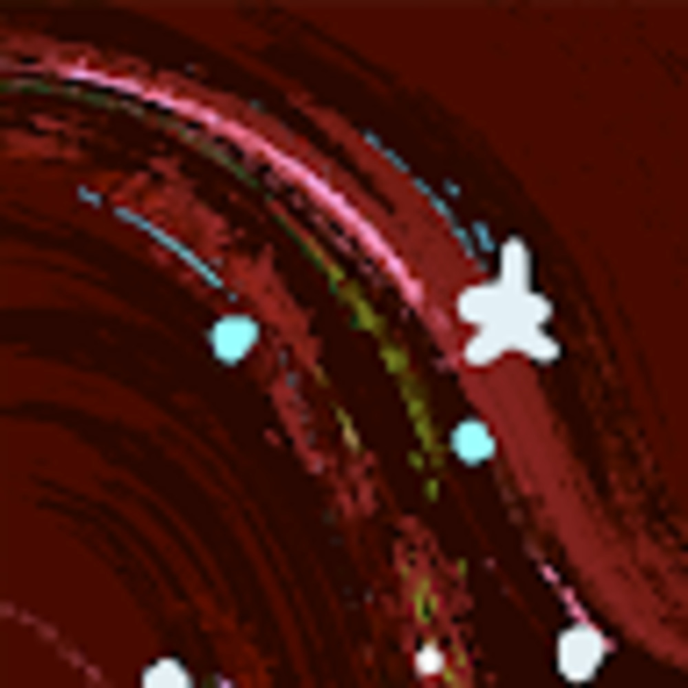 Meet your Posher, Trevin